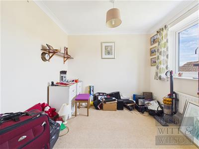 Picture 13